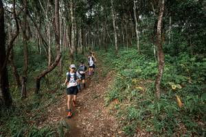 BIB: 
                            <button type="button" onclick="openModal(22795385)" class="btn btn-primary btn-sm float-right btn-popup" data-toggle="modal" data-target=".modal-high-quality">
                        <i class="fas fa-shopping-cart"></i> Add to Cart
                    </button>
                                            <button type="button" onclick="isThisMe(22795385, true)" class="btn btn-success btn-sm float-right btn-popup btn-isme hidden" data-toggle="tooltip" data-placement="bottom" title="นี่คือรูปของคุณใช่ไหม คลิกที่นี่เพื่อเอาเข้าอัลบั้ม">
                        <i class="fas fa-plus"></i> Add to album
                    </button>
                    <button type="button" onclick="isThisMe(22795385, false)" class="btn btn-warning btn-sm float-right btn-popup btn-isnotme hidden">
                        <i class="fas fa-ban"></i> Remove from album
                    </button>